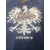 Extreme Hobby T-Shirt Polska Modern Eagle Navy