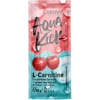 OstroVit Aqua Kick L-carnitine + Green Tea 10g