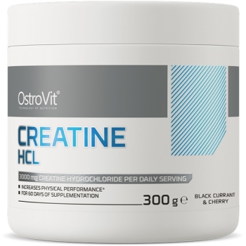 OstroVit Creatine HCL - Chlorowodorek Kreatyny 300g