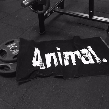 Universal Nutrition Animal Black Towel - ręcznik na siłownię 50x100 cm
