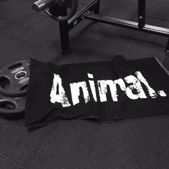Universal Nutrition Animal Black Towel - ręcznik na siłownię 50x100 cm